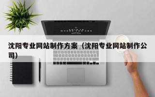 乳山沈阳专业网站制作方案（沈阳专业网站制作公司）